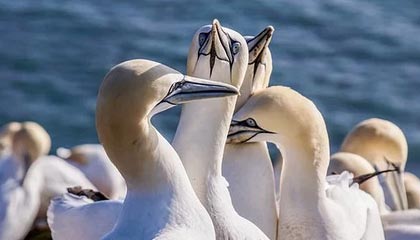 百家乐规则-戴昊更新社媒分享趣味日常并配文：24岁生日