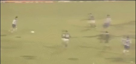 1622178059051053364.gif 邵.gif